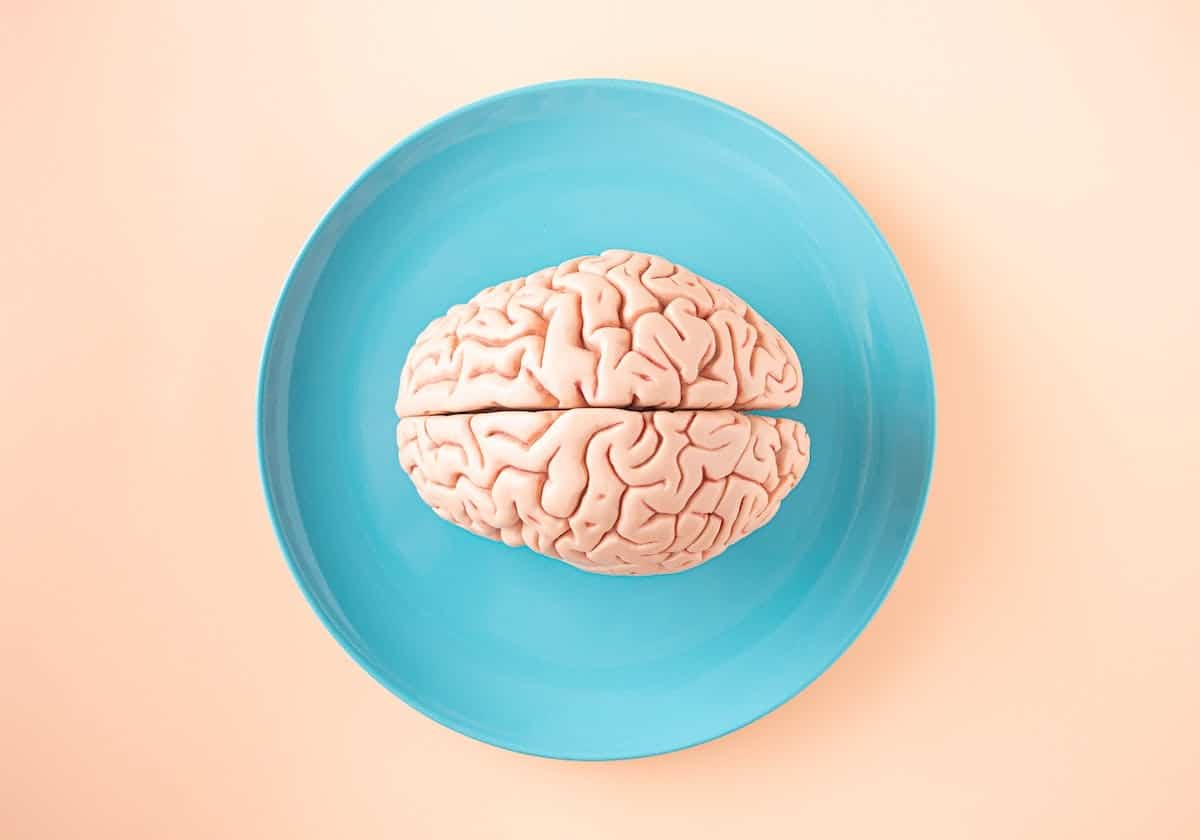 neuroscience cerveau