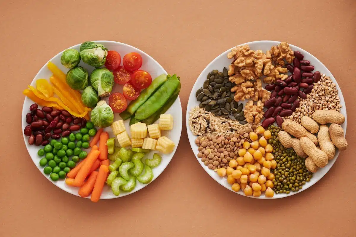 nutrition saine
