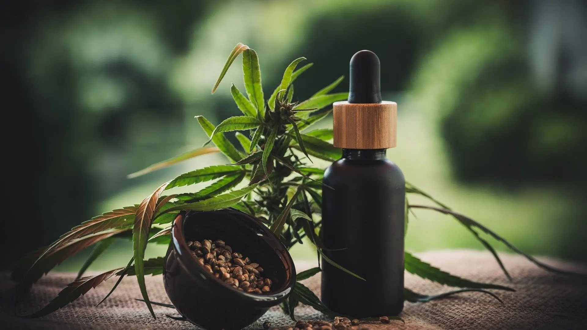 Quelles informations trouve-t-on sur les blogs sur les cbd ?