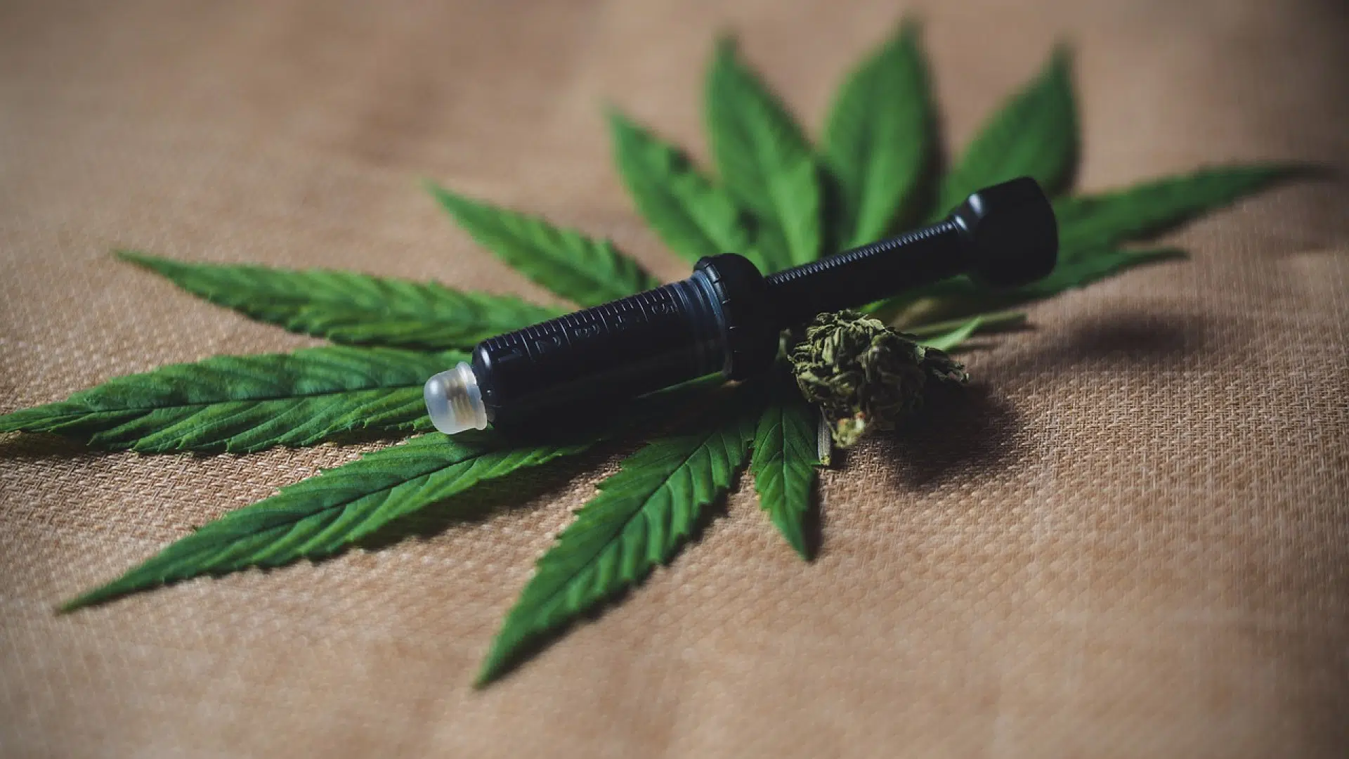 Quels sont les bienfaits de la consommation du CBD par infusion ?