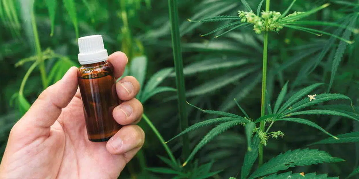 savoir sur le CBD